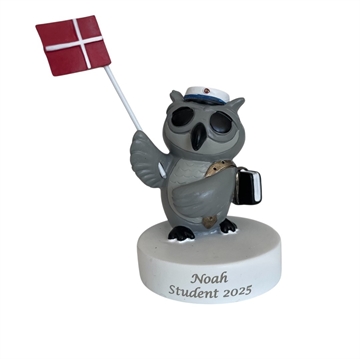 Studenter ugle med bog, blå hue